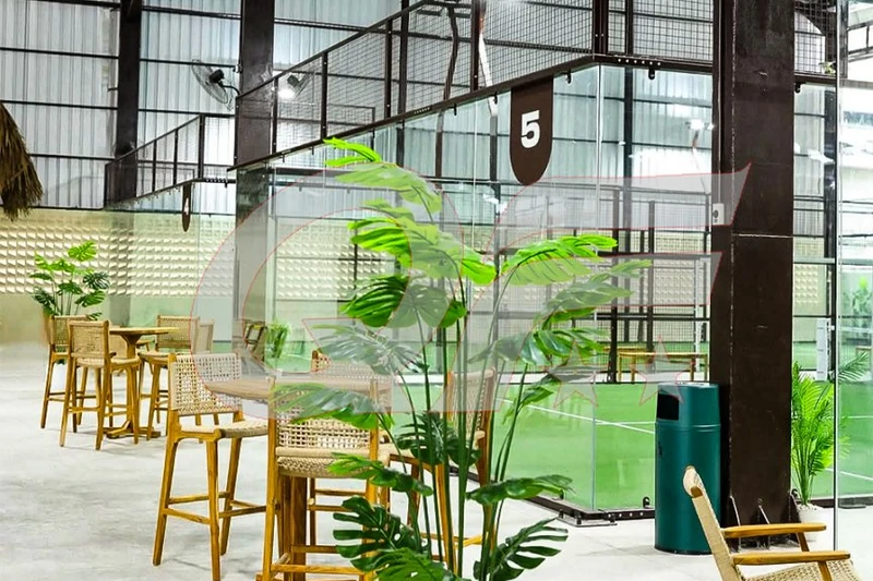 Panoramic Padel Court: Design, Dimensions and Glass Walls